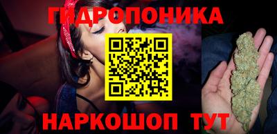 стаф Бугуруслан