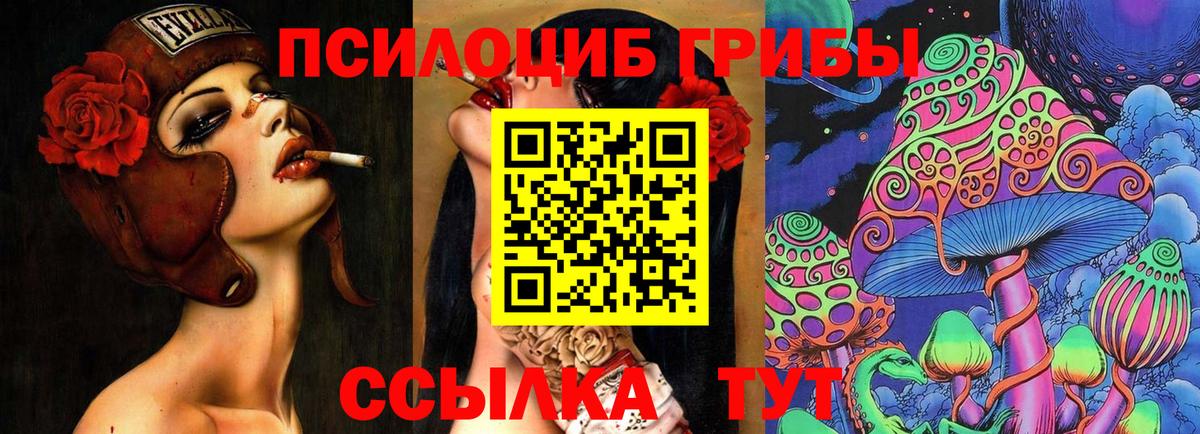 купить закладку  Галлюциногенные грибы Magic Shrooms  Вход с VPN  Рассказово  Галлюциногенные грибы MAGIC MUSHROOMS 